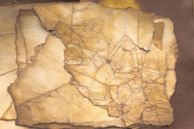 Aged paper sheet. Blank old background with dust and dirty stains. Vintage and antique art concept. Poster mockup. Detailed closeup studio shot. Front view. Toned