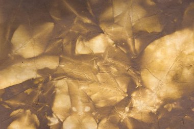 Aged paper sheet. Blank old background with dust and dirty stains. Vintage and antique art concept. Poster mockup. Detailed closeup studio shot. Front view. Toned