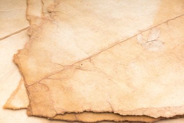 Aged paper sheet. Blank old background with dust and dirty stains. Vintage and antique art concept. Poster mockup. Detailed closeup studio shot. Front view. Toned