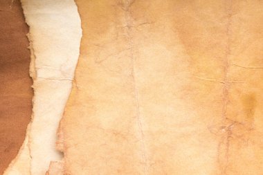 Aged paper sheet. Blank old background with dust and dirty stains. Vintage and antique art concept. Poster mockup. Detailed closeup studio shot. Front view. Toned