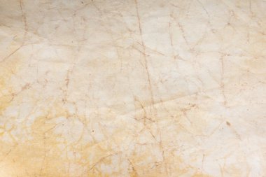 Aged paper sheet. Blank old background with dust and dirty stains. Vintage and antique art concept. Poster mockup. Detailed closeup studio shot. Front view. Toned