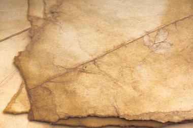 Aged paper sheet. Blank old background with dust and dirty stains. Vintage and antique art concept. Poster mockup. Detailed closeup studio shot. Front view. Toned