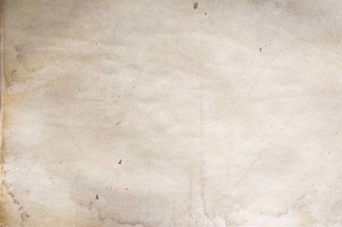 Aged paper sheet. Blank old background with dust and dirty stains. Vintage and antique art concept. Poster mockup. Detailed closeup studio shot. Front view. Toned