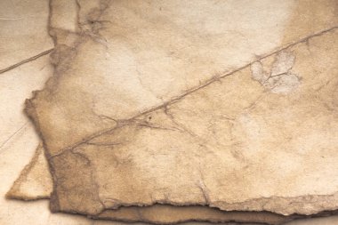 Aged paper sheet. Blank old background with dust and dirty stains. Vintage and antique art concept. Poster mockup. Detailed closeup studio shot. Front view. Toned