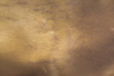 Aged paper sheet. Blank old background with dust and dirty stains. Vintage and antique art concept. Poster mockup. Detailed closeup studio shot. Front view. Toned