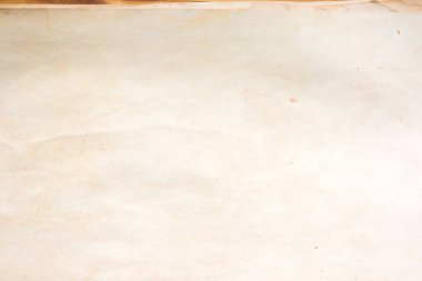 Aged paper sheet. Blank old background with dust and dirty stains. Vintage and antique art concept. Poster mockup. Detailed closeup studio shot. Front view. Toned