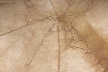 Aged paper sheet. Blank old background with dust and dirty stains. Vintage and antique art concept. Poster mockup. Detailed closeup studio shot. Front view. Toned