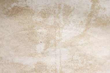 Aged paper sheet. Blank old background with dust and dirty stains. Vintage and antique art concept. Poster mockup. Detailed closeup studio shot. Front view. Toned