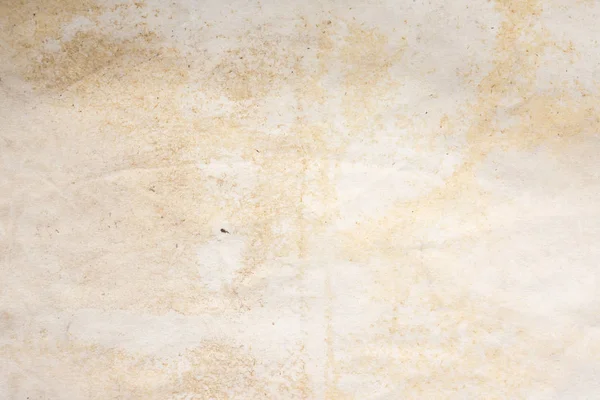 Aged paper sheet. Blank old background with dust and dirty stains. Vintage and antique art concept. Poster mockup. Detailed closeup studio shot. Front view. Toned