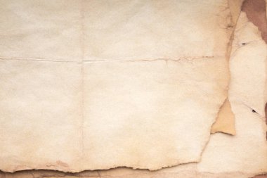 Aged paper sheet. Blank old background with dust and dirty stains. Vintage and antique art concept. Poster mockup. Detailed closeup studio shot. Front view. Toned