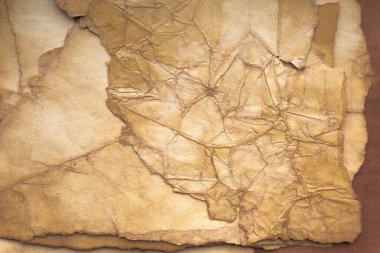 Aged paper sheet. Blank old background with dust and dirty stains. Vintage and antique art concept. Poster mockup. Detailed closeup studio shot. Front view. Toned