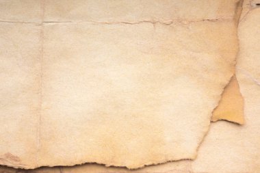 Aged paper sheet. Blank old background with dust and dirty stains. Vintage and antique art concept. Poster mockup. Detailed closeup studio shot. Front view. Toned