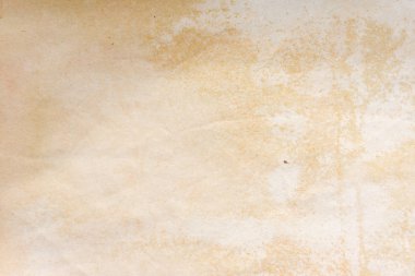 Aged paper sheet. Blank old background with dust and dirty stains. Vintage and antique art concept. Poster mockup. Detailed closeup studio shot. Front view. Toned