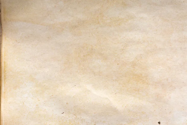 Aged paper sheet. Blank old background with dust and dirty stains. Vintage and antique art concept. Poster mockup. Detailed closeup studio shot. Front view. Toned