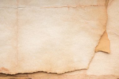 Aged paper sheet. Blank old background with dust and dirty stains. Vintage and antique art concept. Poster mockup. Detailed closeup studio shot. Front view. Toned