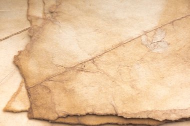 Aged paper sheet. Blank old background with dust and dirty stains. Vintage and antique art concept. Poster mockup. Detailed closeup studio shot. Front view. Toned