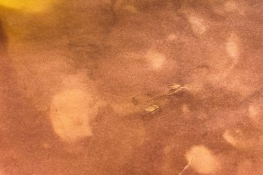 Aged paper sheet. Blank old background with dust and dirty stains. Vintage and antique art concept. Poster mockup. Detailed closeup studio shot. Front view. Toned