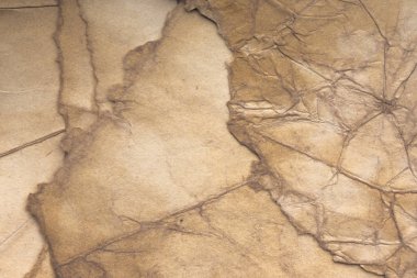 Aged paper sheet. Blank old background with dust and dirty stains. Vintage and antique art concept. Poster mockup. Detailed closeup studio shot. Front view. Toned