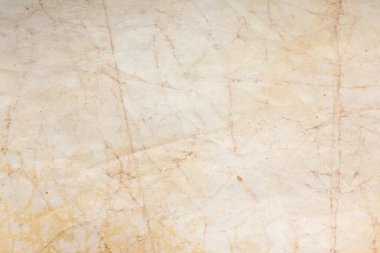 Aged paper sheet. Blank old background with dust and dirty stains. Vintage and antique art concept. Poster mockup. Detailed closeup studio shot. Front view. Toned