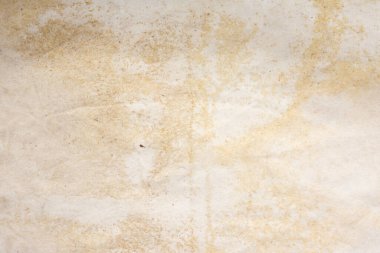 Aged paper sheet. Blank old background with dust and dirty stains. Vintage and antique art concept. Poster mockup. Detailed closeup studio shot. Front view. Toned