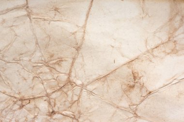 Aged paper sheet. Blank old background with dust and dirty stains. Vintage and antique art concept. Poster mockup. Detailed closeup studio shot. Front view. Toned