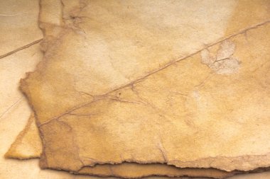 Aged paper sheet. Blank old background with dust and dirty stains. Vintage and antique art concept. Poster mockup. Detailed closeup studio shot. Front view. Toned