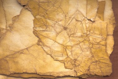 Aged paper sheet. Blank old background with dust and dirty stains. Vintage and antique art concept. Poster mockup. Detailed closeup studio shot. Front view. Toned