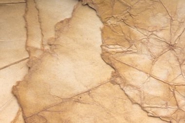 Aged paper sheet. Blank old background with dust and dirty stains. Vintage and antique art concept. Poster mockup. Detailed closeup studio shot. Front view. Toned