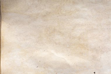 Aged paper sheet. Blank old background with dust and dirty stains. Vintage and antique art concept. Poster mockup. Detailed closeup studio shot. Front view. Toned