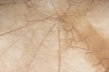 Aged paper sheet. Blank old background with dust and dirty stains. Vintage and antique art concept. Poster mockup. Detailed closeup studio shot. Front view. Toned