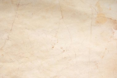 Aged paper sheet. Blank old background with dust and dirty stains. Vintage and antique art concept. Poster mockup. Detailed closeup studio shot. Front view. Toned