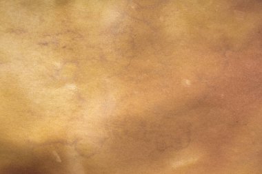 Aged paper sheet. Blank old background with dust and dirty stains. Vintage and antique art concept. Poster mockup. Detailed closeup studio shot. Front view. Toned