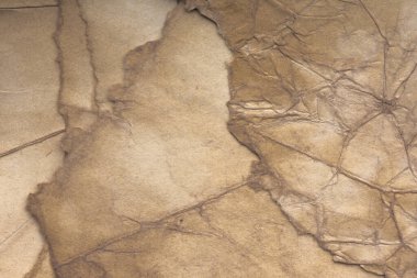 Aged paper sheet. Blank old background with dust and dirty stains. Vintage and antique art concept. Poster mockup. Detailed closeup studio shot. Front view. Toned