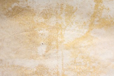 Aged paper sheet. Blank old background with dust and dirty stains. Vintage and antique art concept. Poster mockup. Detailed closeup studio shot. Front view. Toned