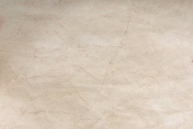 Aged paper sheet. Blank old background with dust and dirty stains. Vintage and antique art concept. Poster mockup. Detailed closeup studio shot. Front view. Toned