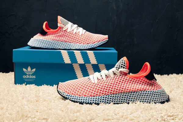 Nowe Piękne Kolorowe Ładne Buty Biegania Adidas Iniki Trampki Trenery — Zdjęcie stockowe