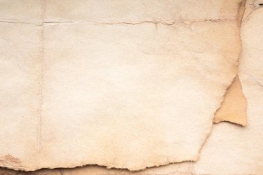 Aged paper sheet. Blank old background with dust and dirty stains. Vintage and antique art concept. Poster mockup. Detailed closeup studio shot. Front view. Toned