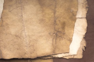 Aged paper sheet. Blank old background with dust and dirty stains. Vintage and antique art concept. Poster mockup. Detailed closeup studio shot. Front view. Toned
