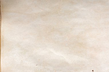 Aged paper sheet. Blank old background with dust and dirty stains. Vintage and antique art concept. Poster mockup. Detailed closeup studio shot. Front view. Toned