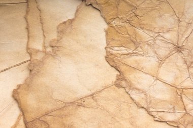 Aged paper sheet. Blank old background with dust and dirty stains. Vintage and antique art concept. Poster mockup. Detailed closeup studio shot. Front view. Toned