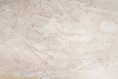 Aged paper sheet. Blank old background with dust and dirty stains. Vintage and antique art concept. Poster mockup. Detailed closeup studio shot. Front view. Toned