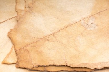 Aged paper sheet. Blank old background with dust and dirty stains. Vintage and antique art concept. Poster mockup. Detailed closeup studio shot. Front view. Toned