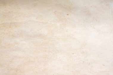 Aged paper sheet. Blank old background with dust and dirty stains. Vintage and antique art concept. Poster mockup. Detailed closeup studio shot. Front view. Toned