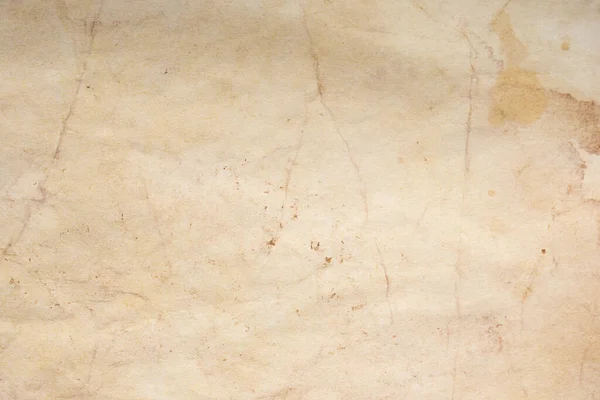 Aged paper sheet. Blank old background with dust and dirty stains. Vintage and antique art concept. Poster mockup. Detailed closeup studio shot. Front view. Toned