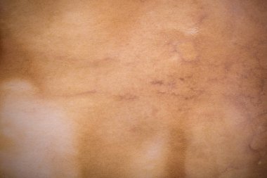 Eski kağıt çarşaf. Toz ve kirli lekelerle dolu boş bir arka plan. Eski ve antika sanat konsepti. Ayrıntılı yakın çekim stüdyo çekimi. Ön manzara. Ayarlanmış