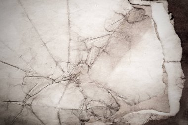 Eski kağıt çarşaf. Toz ve kirli lekelerle dolu boş bir arka plan. Eski ve antika sanat konsepti. Ayrıntılı yakın çekim stüdyo çekimi. Ön manzara. Ayarlanmış