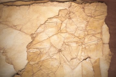 Aged paper sheet. Blank old background with dust and dirty stains. Vintage and antique art concept. Poster mockup. Detailed closeup studio shot. Front view. Toned