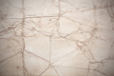 Aged paper sheet. Blank old background with dust and dirty stains. Vintage and antique art concept. Poster mockup. Detailed closeup studio shot. Front view. Toned