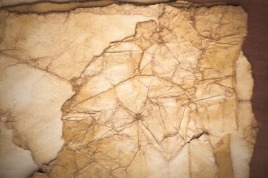 Aged paper sheet. Blank old background with dust and dirty stains. Vintage and antique art concept. Poster mockup. Detailed closeup studio shot. Front view. Toned