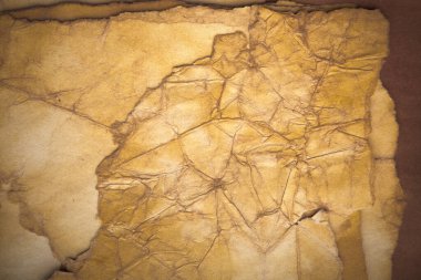 Aged paper sheet. Blank old background with dust and dirty stains. Vintage and antique art concept. Poster mockup. Detailed closeup studio shot. Front view. Toned